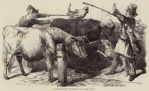 Smithfield Market, the Drover